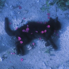 広大𝓛𝓲𝓵.𝓿𝓪𝓼𝓽𝓲