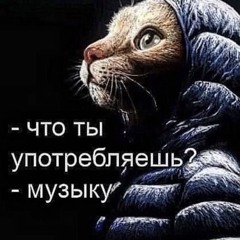 сэр мясо