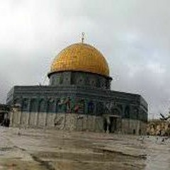 علاء جبارين