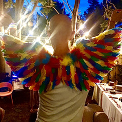 Impact Avec le Paradis