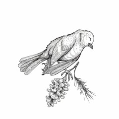 Dead Birds