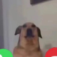 𒉭 bachar.sdk 𒉭