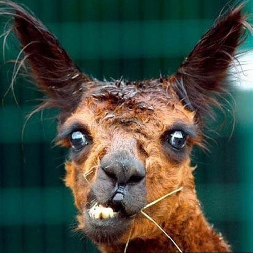 Svenson & Gielen - Answer The Question (Cosmic Gate Remix)