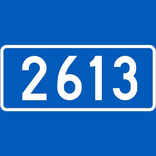 2613’s avatar