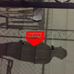 revive swasey