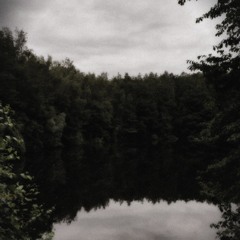 Analog Memory