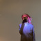 Hamad