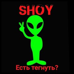 13_Shoy_12