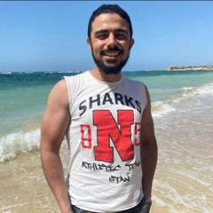 Omar Zaghlol