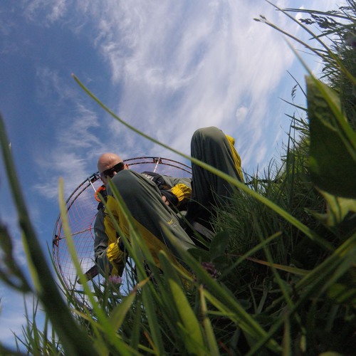 Alan Parson Project-Lucifer (Tom Cosmix Rework)final version update