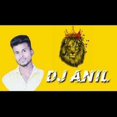 DJ ANIL