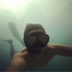 Richard van der Nest