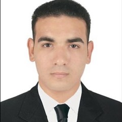 Mohamed Sayedgabr