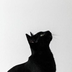 🌱