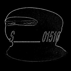 S_01510