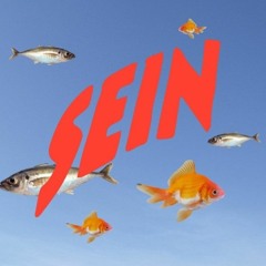 SEIN