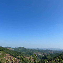 Vu Mizh Hieu