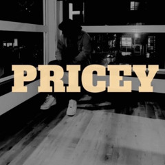 lil pricey 101