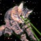 amazingspacecats
