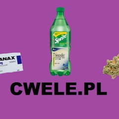CWELE.PL