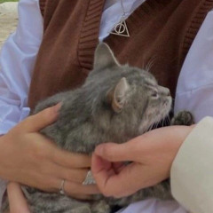 пьём пиво и плачем ночами (misato kinnie playlist)