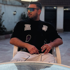 hamid mahmodi