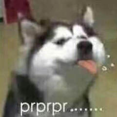 𝚋𝚞𝚒𝚝𝚑𝚎𝚘