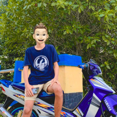 TADDI_ZLZR