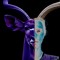 AntyLopa