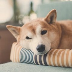 Alexander Eriksen Nygård