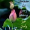 ابو احمد المصرى