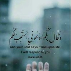 Ashrakat Abdelhamied