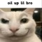 L_H24