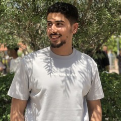 محمد الجنجيهي