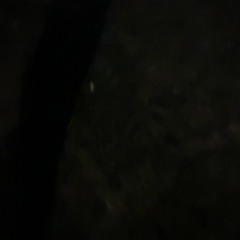 \\kxr