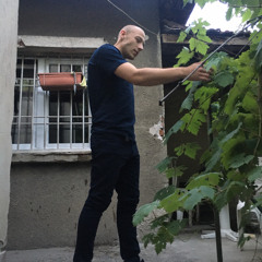 Bobi Borisov