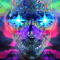 psychedelic minds