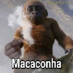 ⚡Ld⚡021🤬🥷🏻