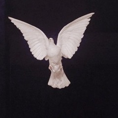 dovethedemo