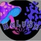 HALUSA