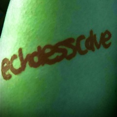 echolesscave