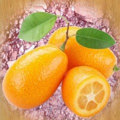 Kumquat