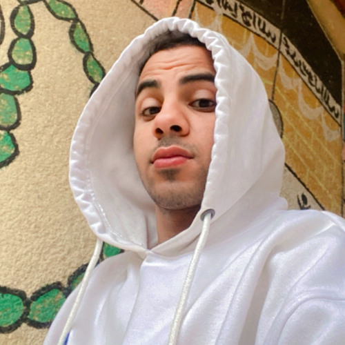 Youssef William🥷’s avatar