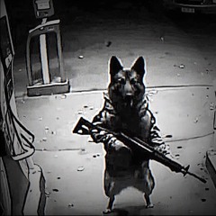 Barka