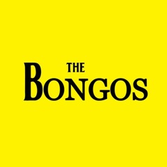 The Bongos