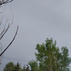 Colorado springs
