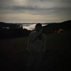 Владислав Рудник