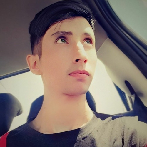 Armin Safi’s avatar
