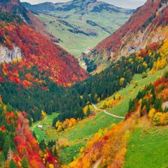 38-Lý Ngọc Trường