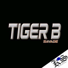 Tiger B_Oficial✪